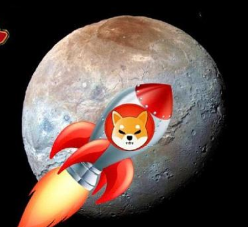 SHIB：凭独特优势崛起，构建生态谋未来，成加密货币市场焦点