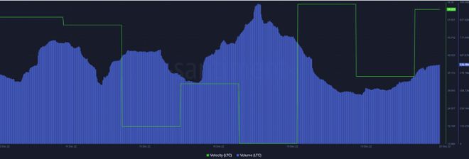 莱特币减半前后走势_莱特币在看跌交易中下跌 10%_莱特币下次减半