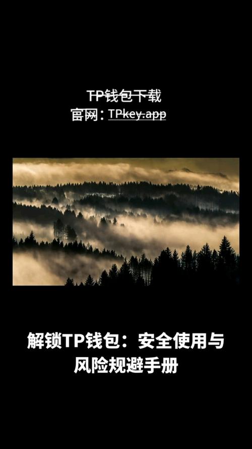 TP钱包官方网站下载正版软件后，这些安全细节要留意